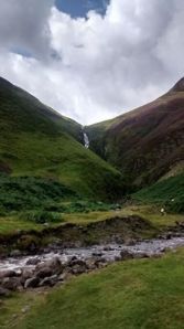 Grey's Mare Tail